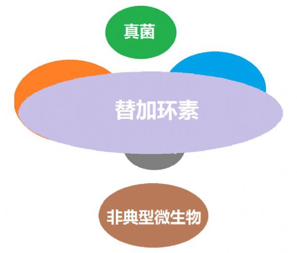 看图“话”抗菌谱，赶紧收藏