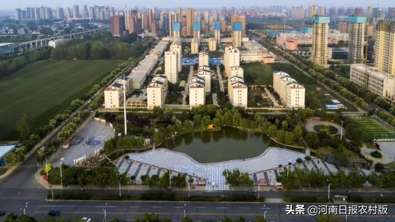 从露天果蔬到温室大棚，从田间地头到生产车间，从外出务工到返乡创业，汤阴韩庄踏上增收致富的高速路