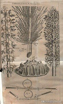 去大英博物馆要准备哪些东西,来大英