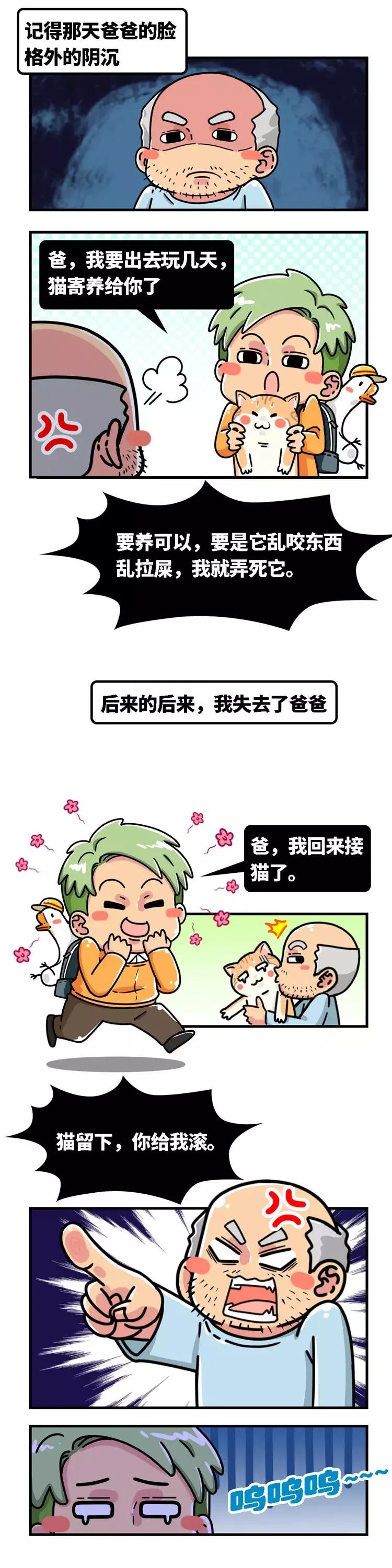 古代猫奴是什么意思,古代猫奴