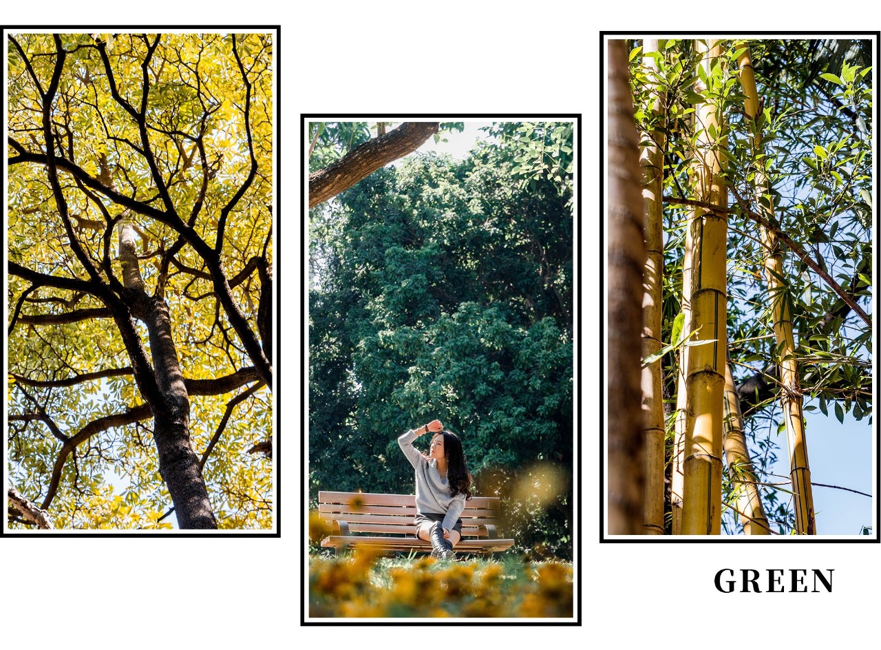 深圳十大顶级公园,深圳市十大风景公园排名