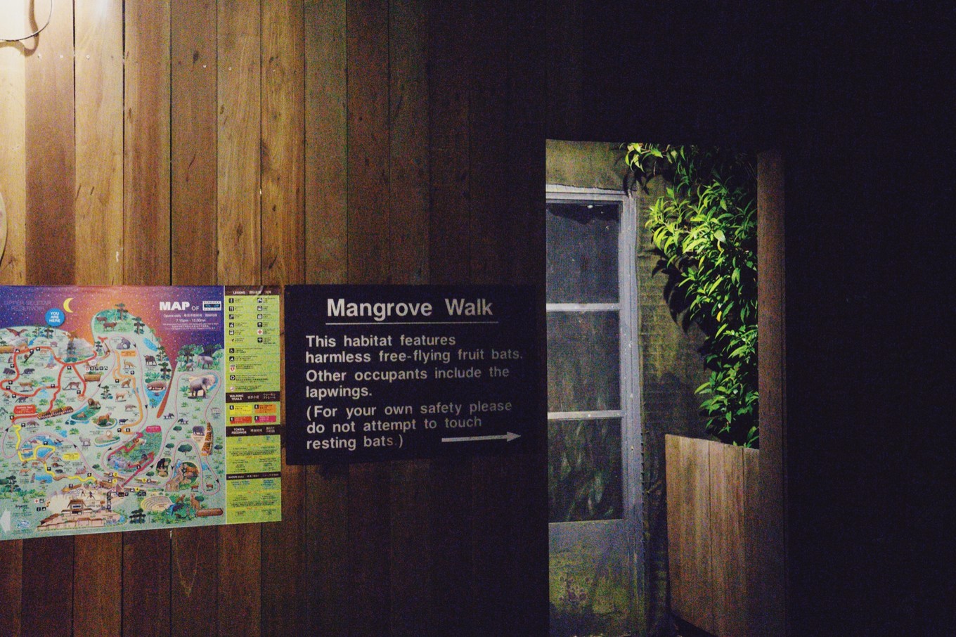 中国蝙蝠动物园,中国有蝙蝠的动物园