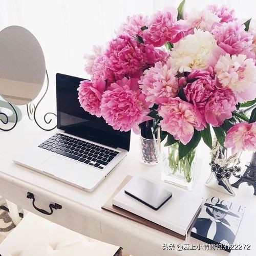 送花给女朋友选择什么花,第一次给女朋友送花要注意什么