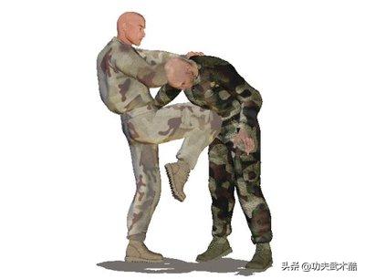 动画格斗防身术,动画实战教学