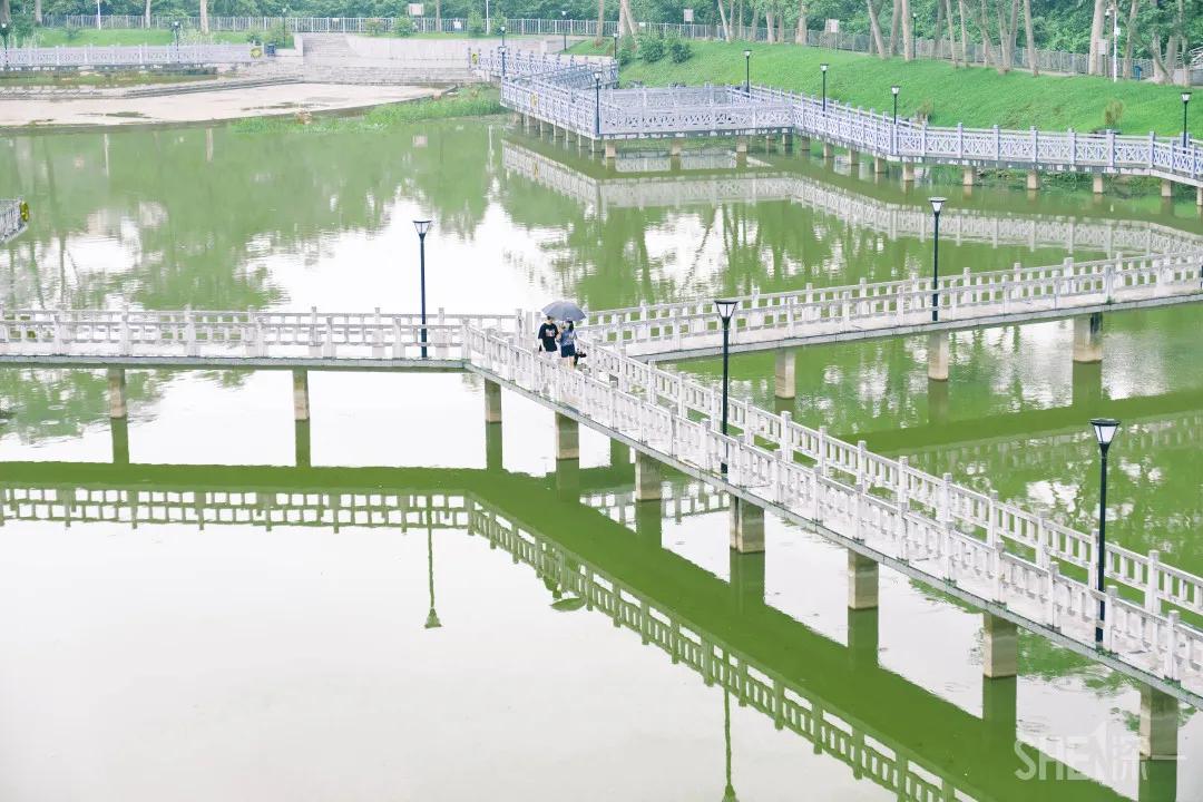 深圳八大绝美公园,山水公园深圳