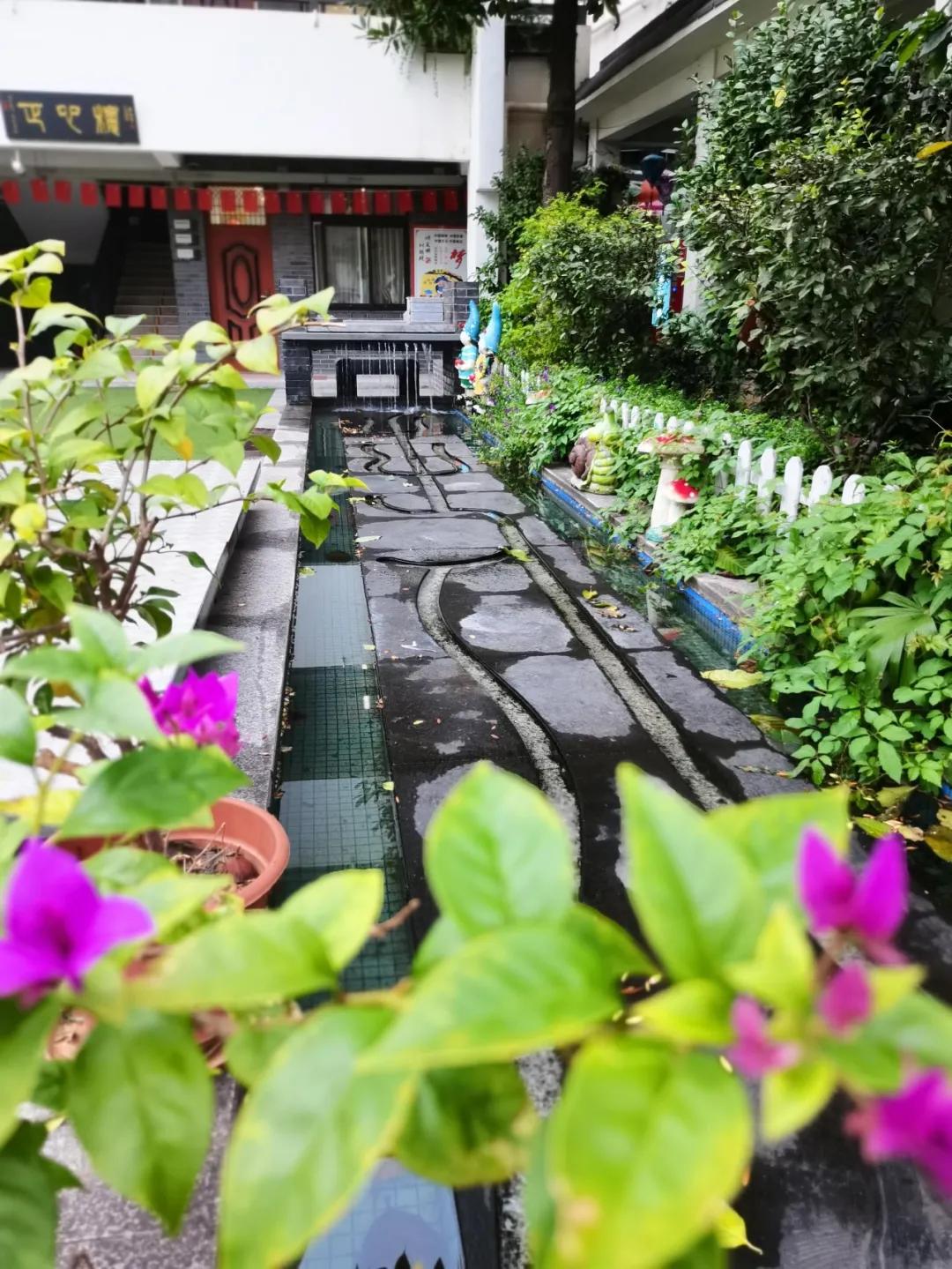 最美的风景美丽的校园,最美的风景就是校园