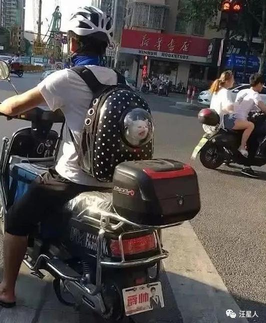 一名外卖小哥特别引人注意,因为他的后座位上总有只…