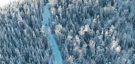 鍫瘮鐟炲+鐨勪腑鍥芥粦闆満,濯茬編鐟炲+