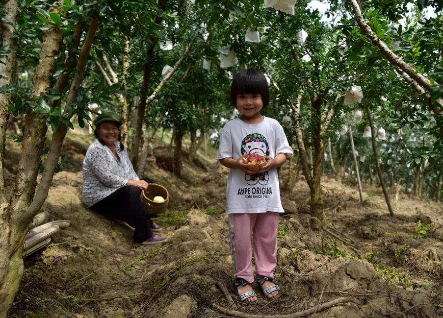 突尼斯软籽石榴可以喝的石榴,突尼斯软籽石榴和雅诗兰黛