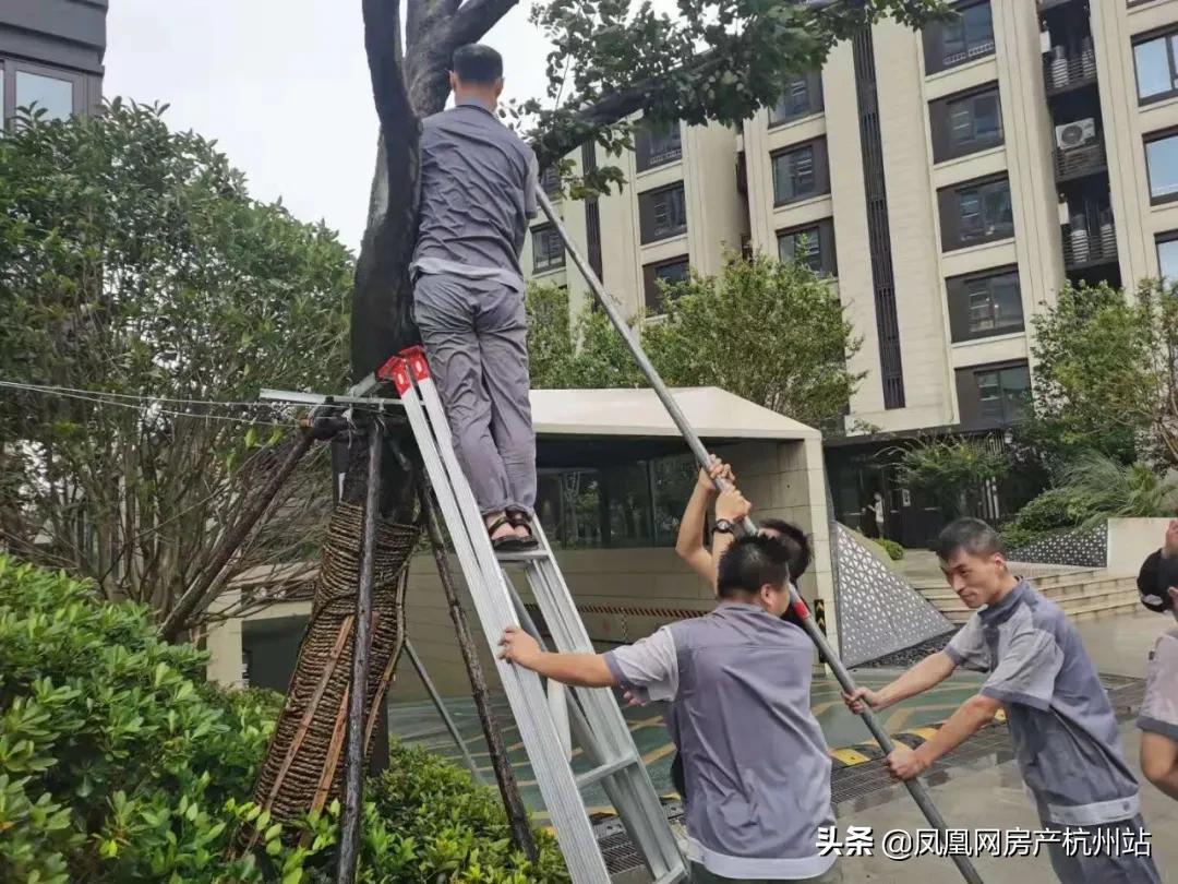 烟花过境宁波,烟花过境淮北