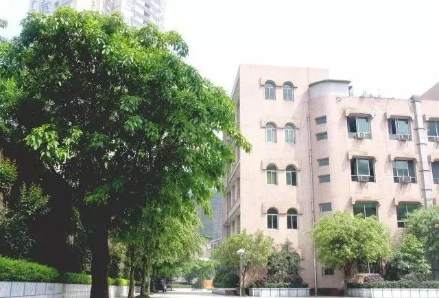 如何选择重庆渝中区的初中,渝中区适合读哪所初中