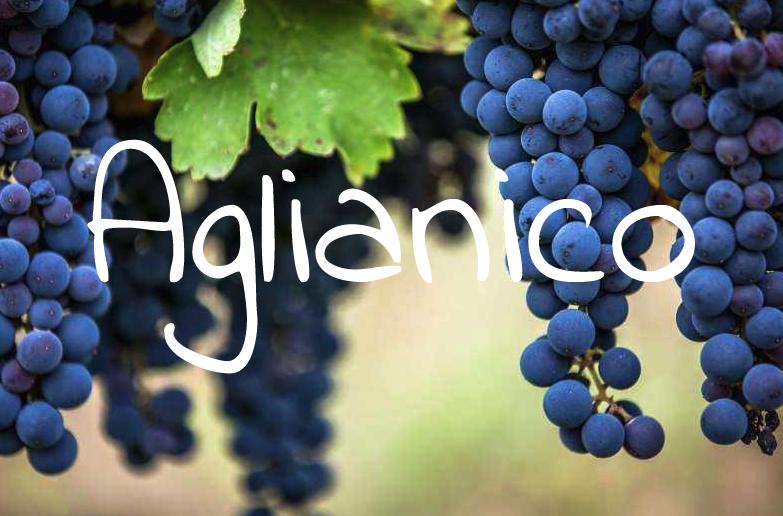 意大利葡萄品种,意大利的葡萄品种