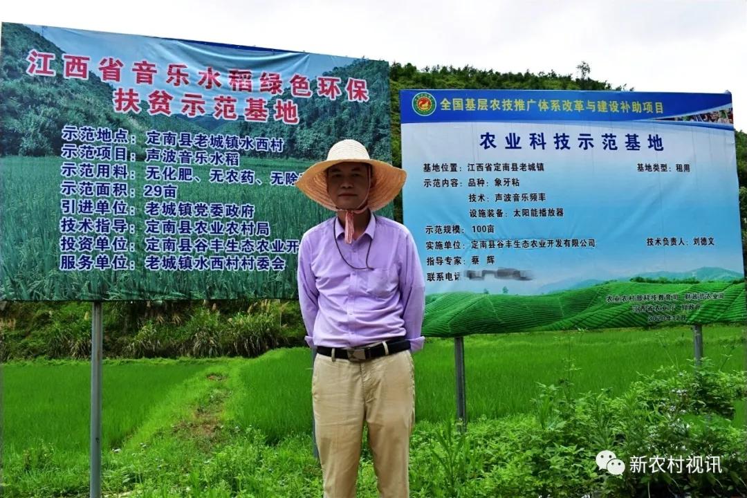 音乐对人体的影响,声波对植物或动物的影响