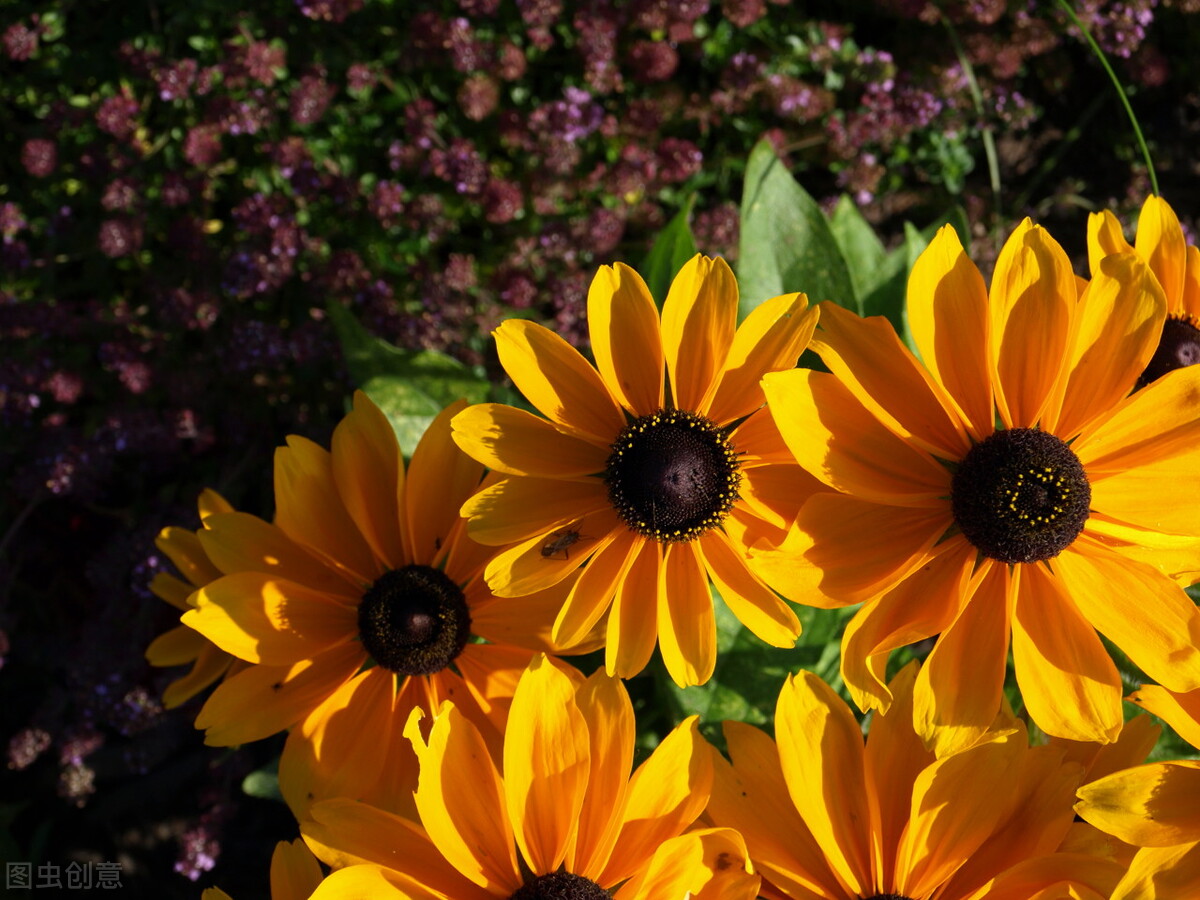 如何消除负面思维,如何消除负面思想