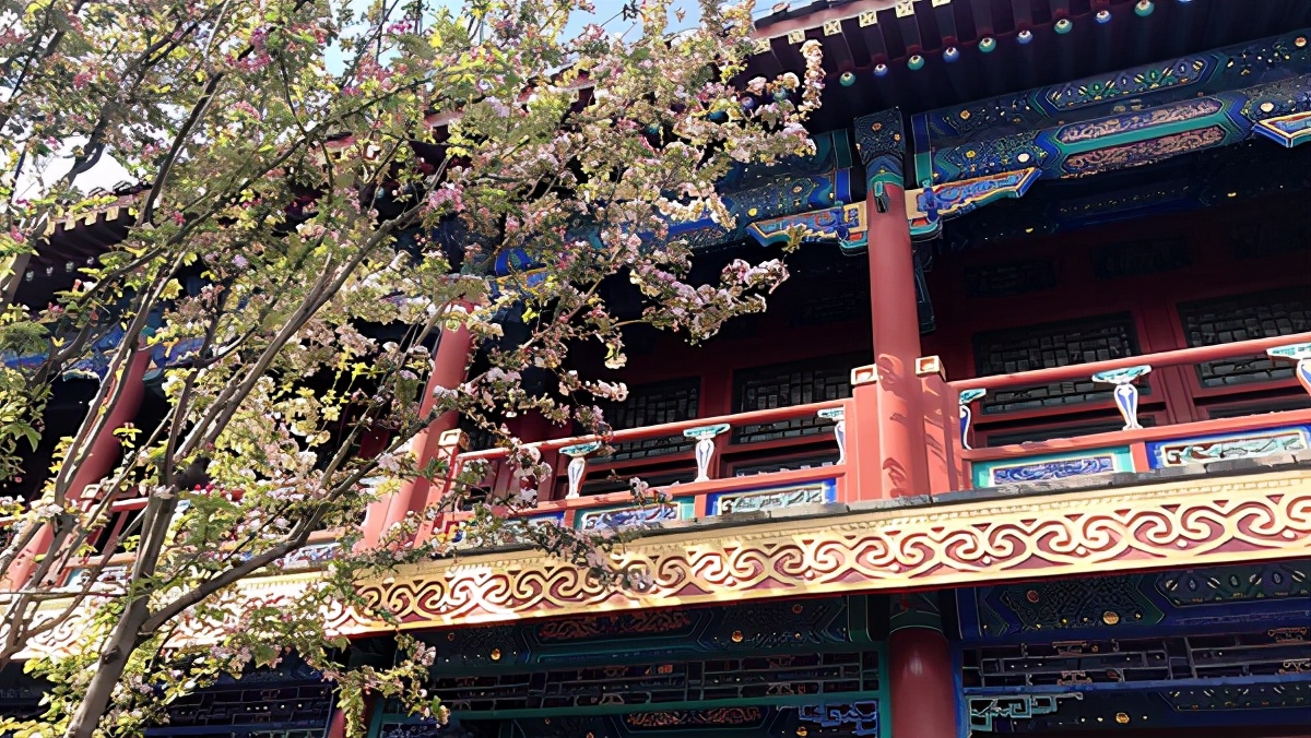 好听冷门的鼠男孩名字,比较有诗意的名字男孩鼠宝宝