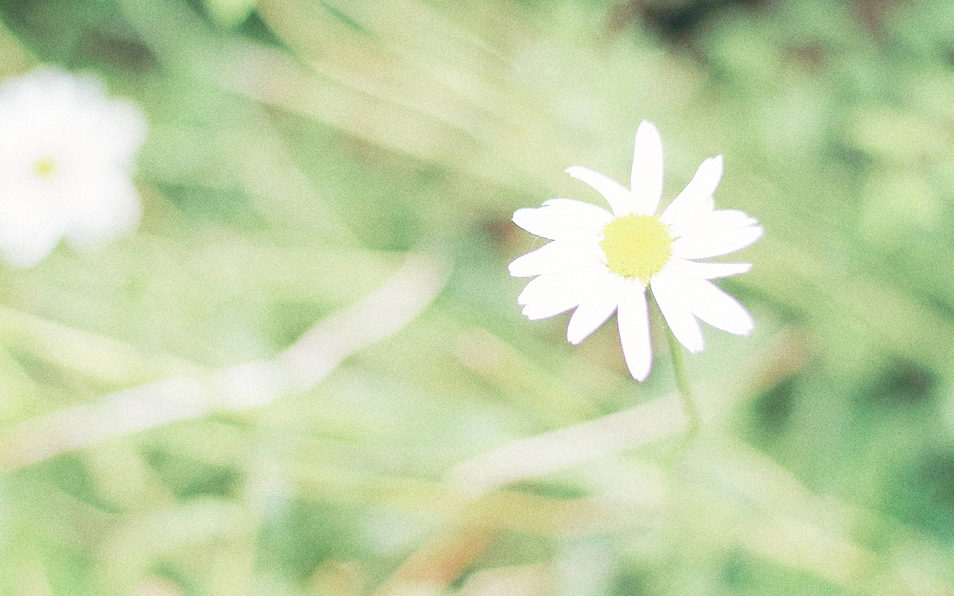 心理学上有的人为什么那么暴躁,心理学发脾气的人才最值得深交