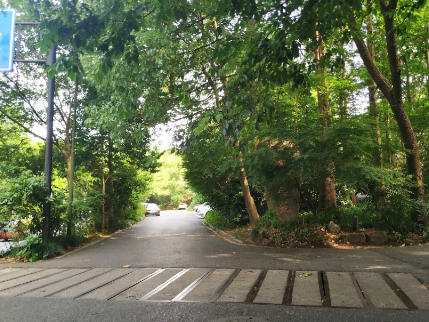 杭州西湖茶山游玩攻略,杭州西湖边游玩