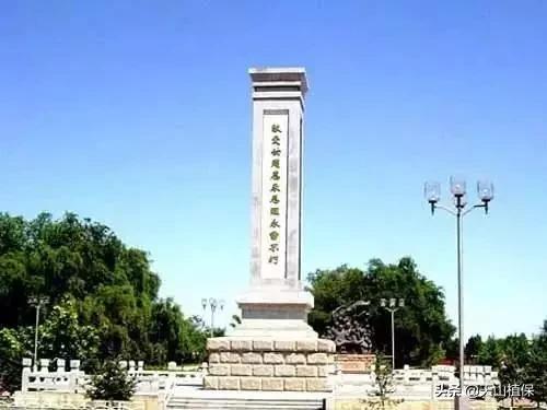 上榜啦！*疆新**鸟市和石市即将被国家命名！未来发展不可估量