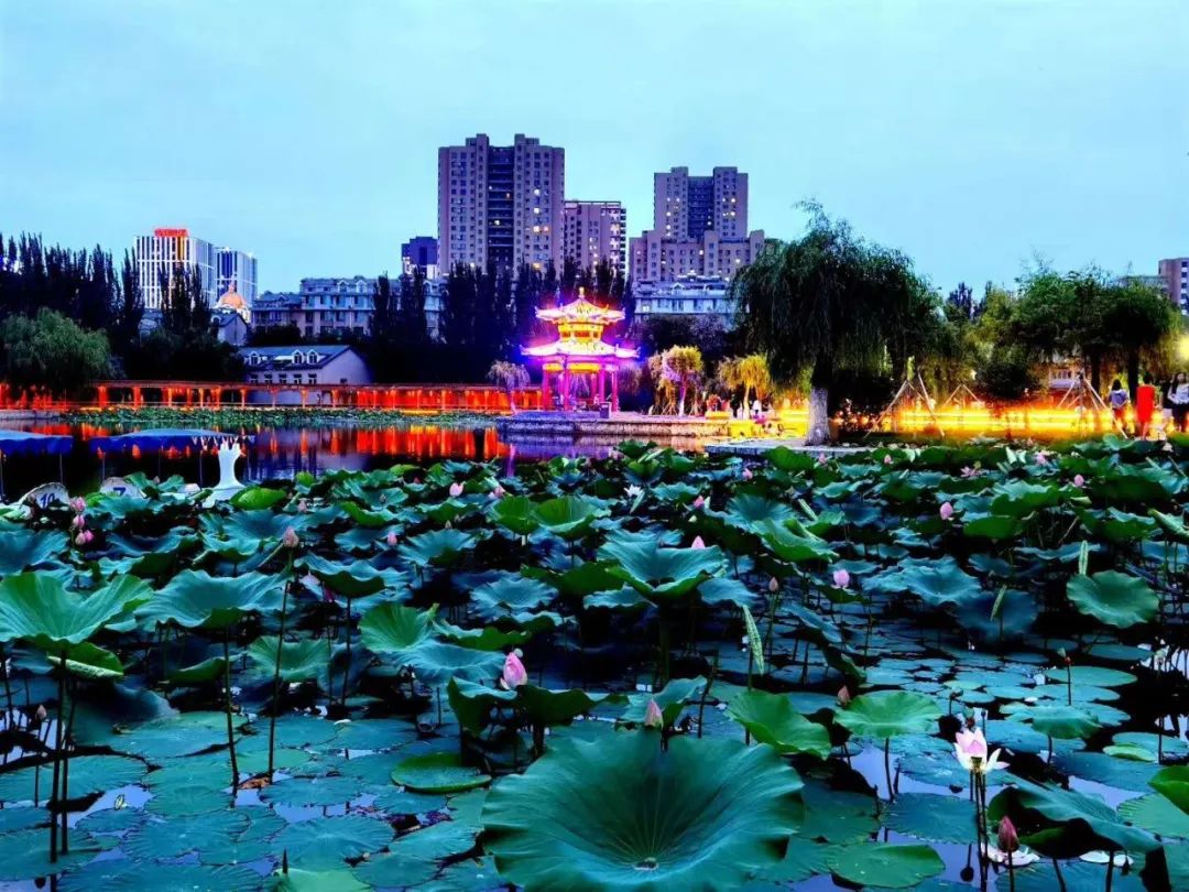 营口天气早安,早安营口2019年5月16日