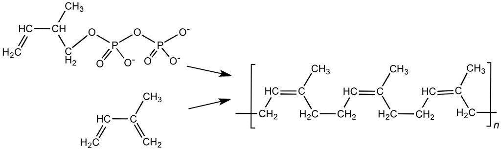 橡胶球收缩率,橡胶球是标准球吗为什么