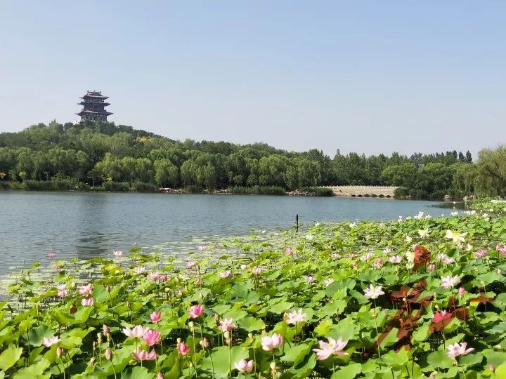 唐山南湖有多漂亮,唐山南湖有哪些项目