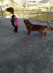 搞笑gif段子妹子有点太淘气了,搞笑gif妹子你又调皮了