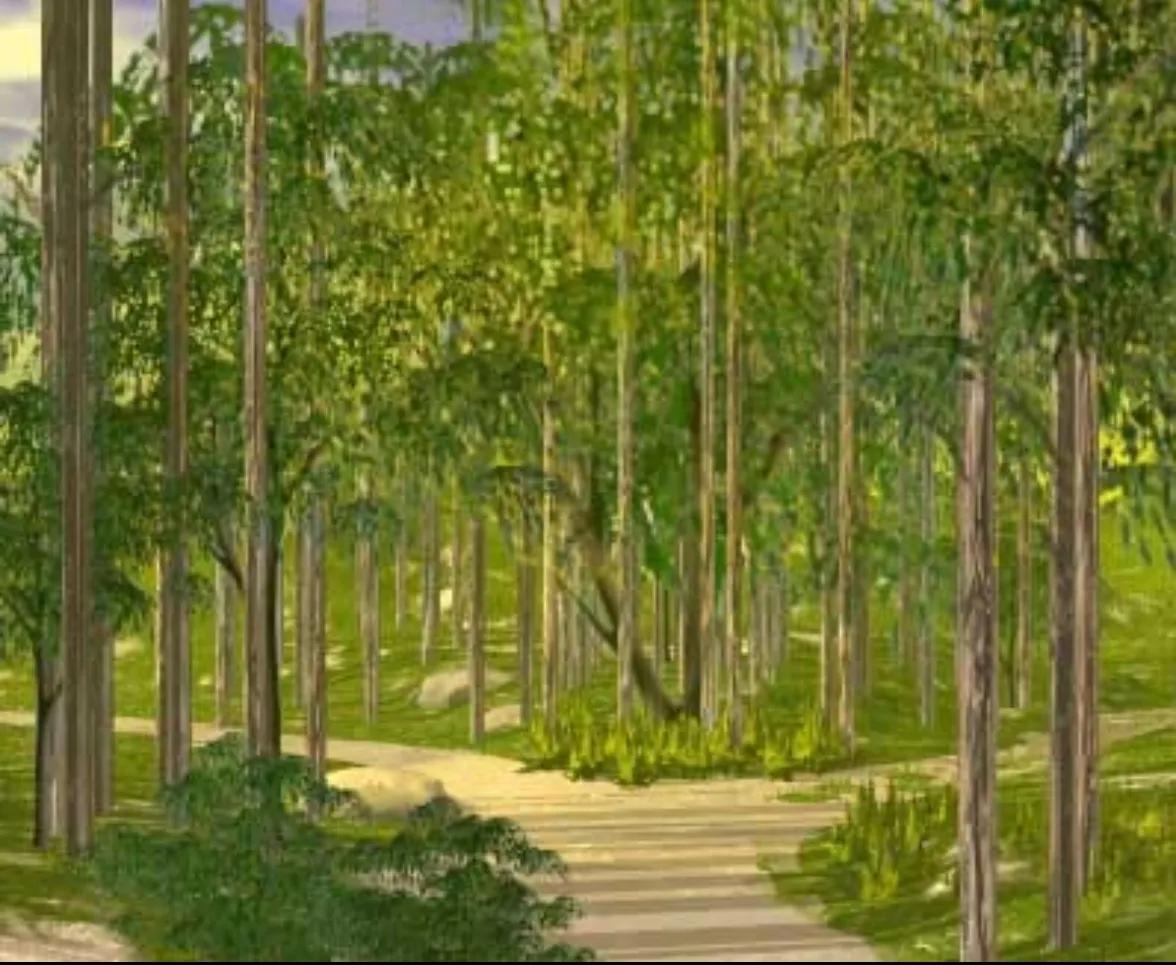 疑难杂症自我彻底治愈的方法,所有人都会有纠结症