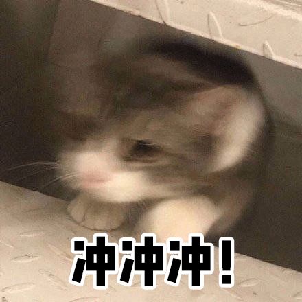 kiko良心测评,kiko爆款和经典款有什么区别