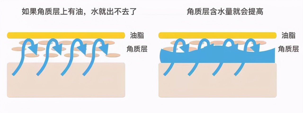 涂一次嫩一天，70年老国货里挖到的宝贝面霜，不停产就偷着笑吧