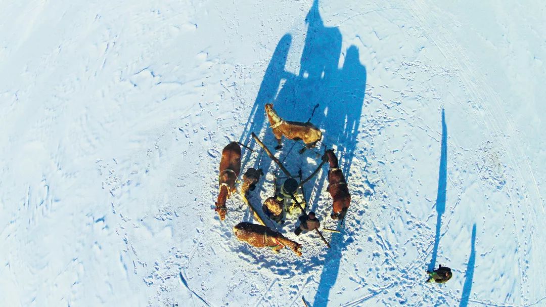 中国人过年太有意思,中国人过年有什么活动