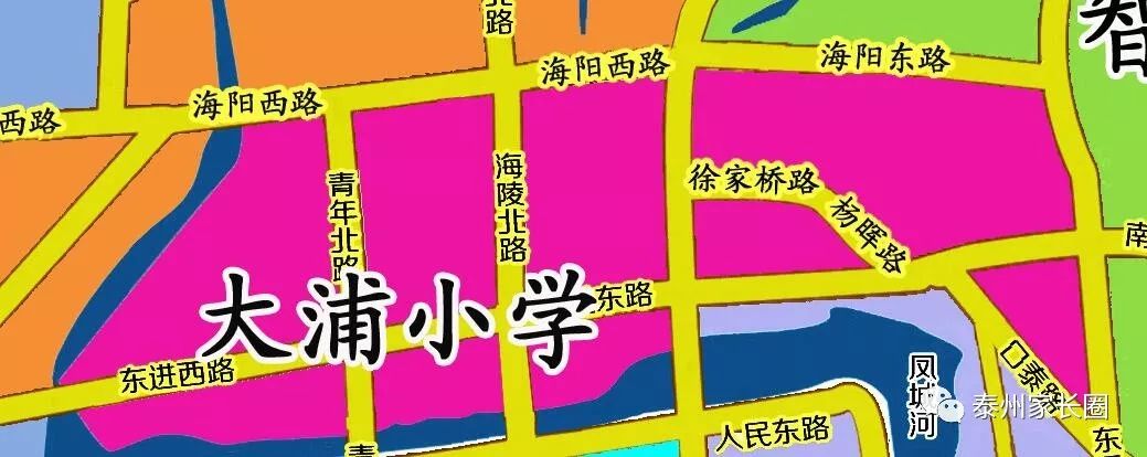 泰州市小学排名一览表,泰州凤凰小学招生