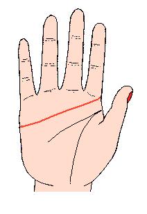 看手相可以预测什么,手相能预测考试吗