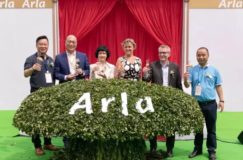 美力滋蓝曦什么时候上市 (阿拉美力滋跟蓝曦的区别)