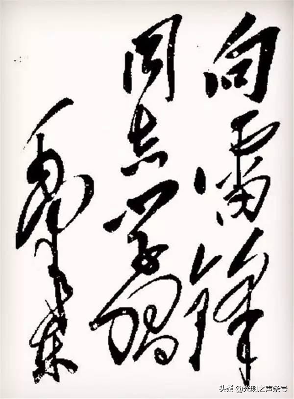 如何欣赏和评价毛*东泽**的书法艺术？