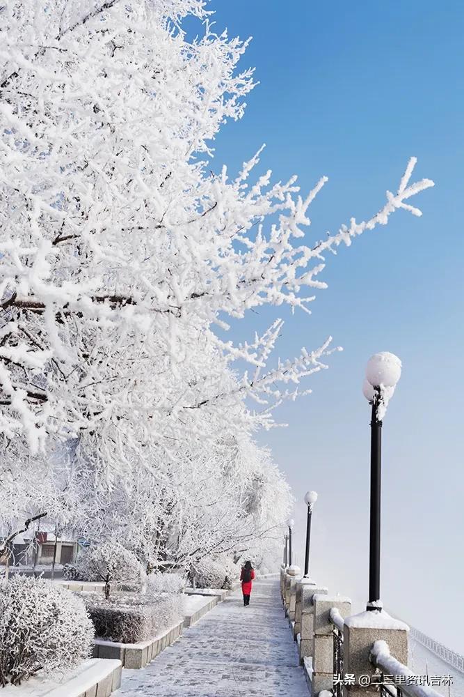 3分钟让你爱上jojo,3分钟让你爱上她