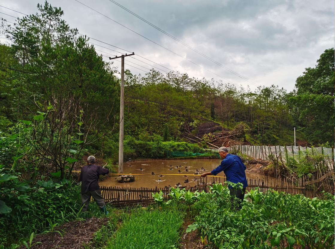 兴国和平村老村长张练功:平凡岗位上的发光者
