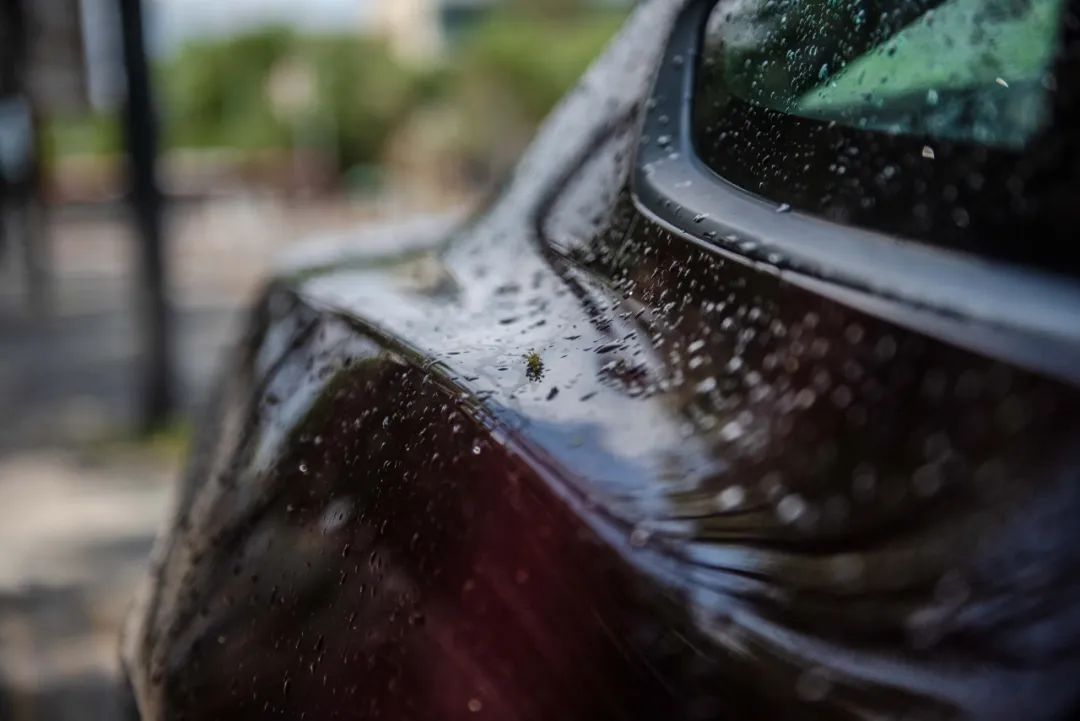 野马2.3t被叫野驴,野马2.3t小野驴