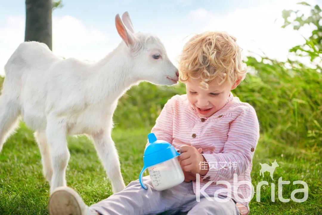 佳贝艾特和爱他美奶粉哪个比较好,佳贝艾特奶粉800克多少钱一罐