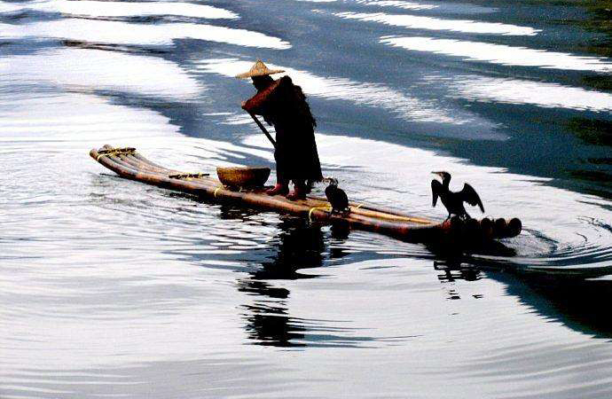 说文解字第168讲,说文解字第352课视频讲解