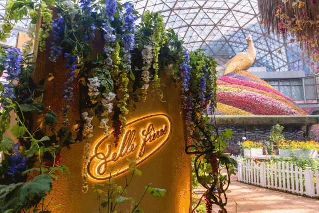 你有一个本周末蛋糕DIY名额待领取，用手作的甜蜜为爱告白吧