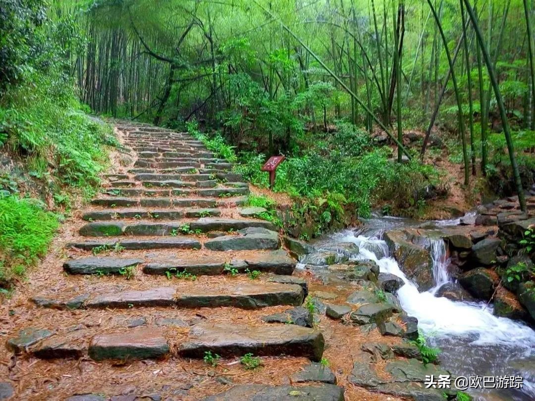 绍兴古道攻略一日游自由行,此生必去的三条国道