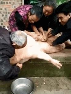 搞笑gif趣图哥们你不要太过分了,搞笑gif趣图大爷你走路小心点好吗