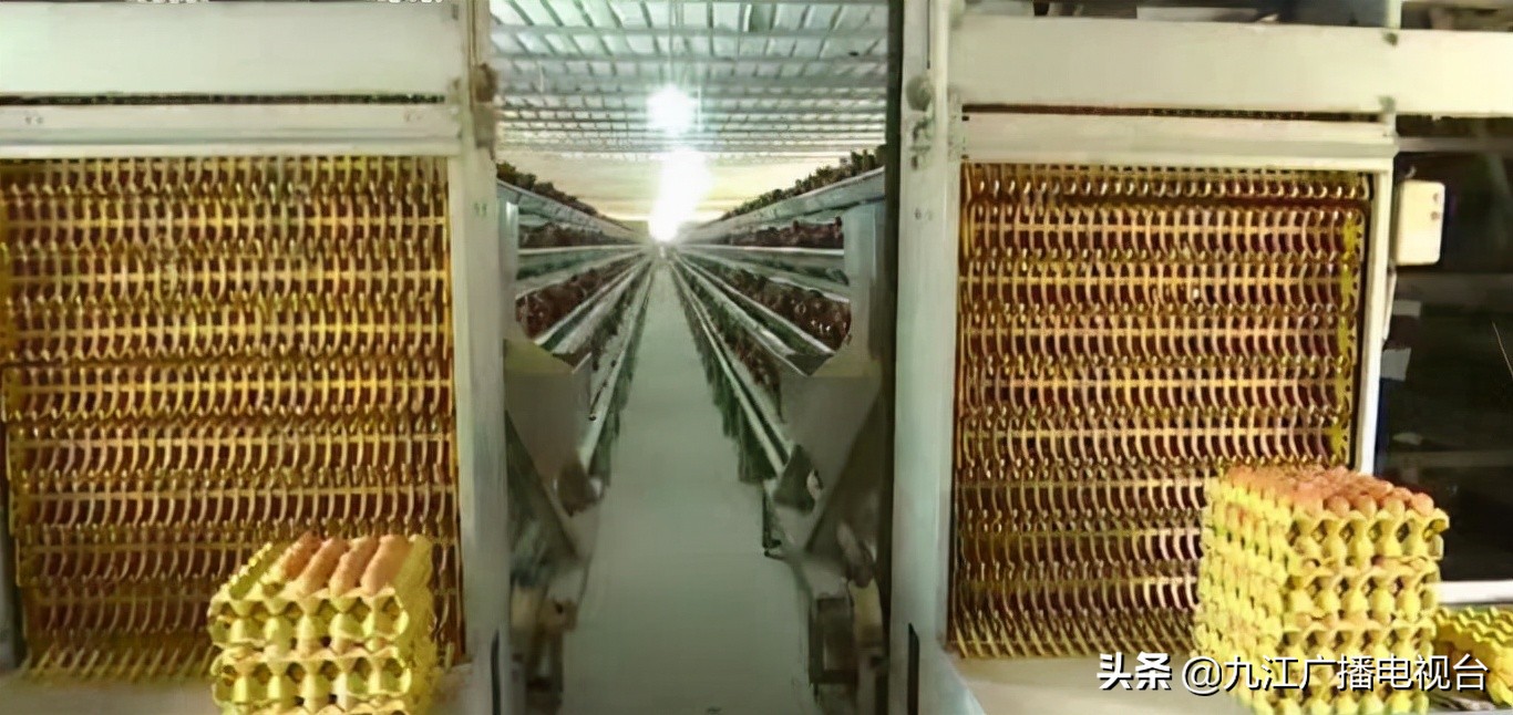 结对帮扶乡村振兴工作总结,结对帮扶受困儿童助力乡村振兴