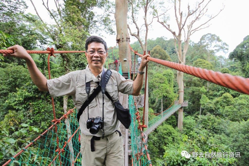 待疫情平息,和孩子一起探索“失落的世界”婆罗洲原始雨林