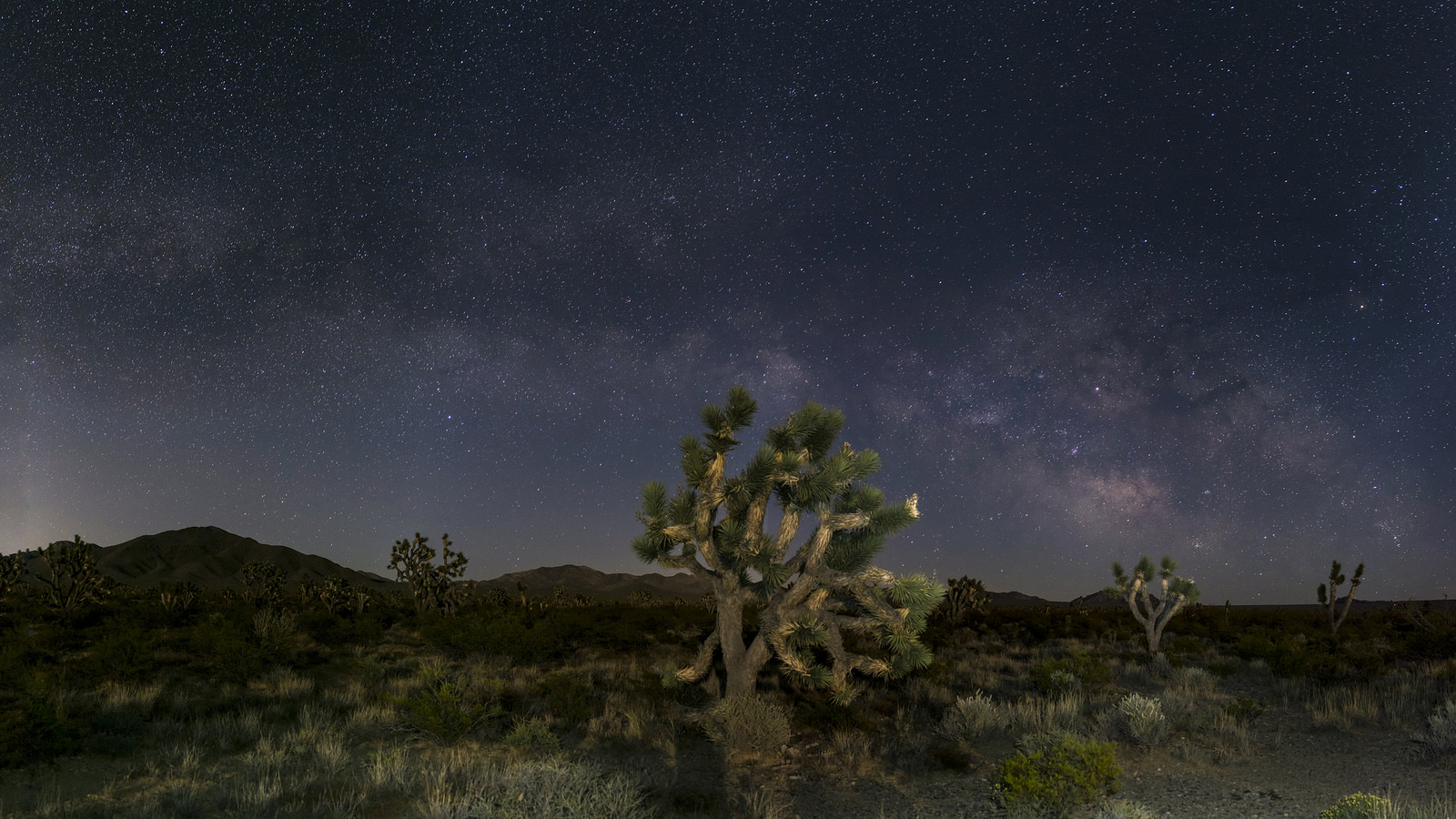 小众美国潮牌性价比高,高级轻奢潮牌