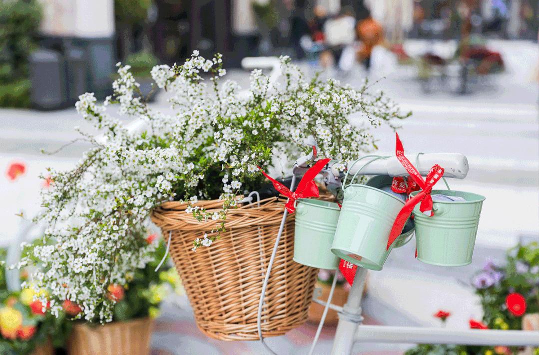 鑻忓窞娓哥帺瓒呯骇璇︾粏鏀荤暐浜斿ぉ,璺熺潃褰撳湴浜烘帰绱㈢殑鍦版柟