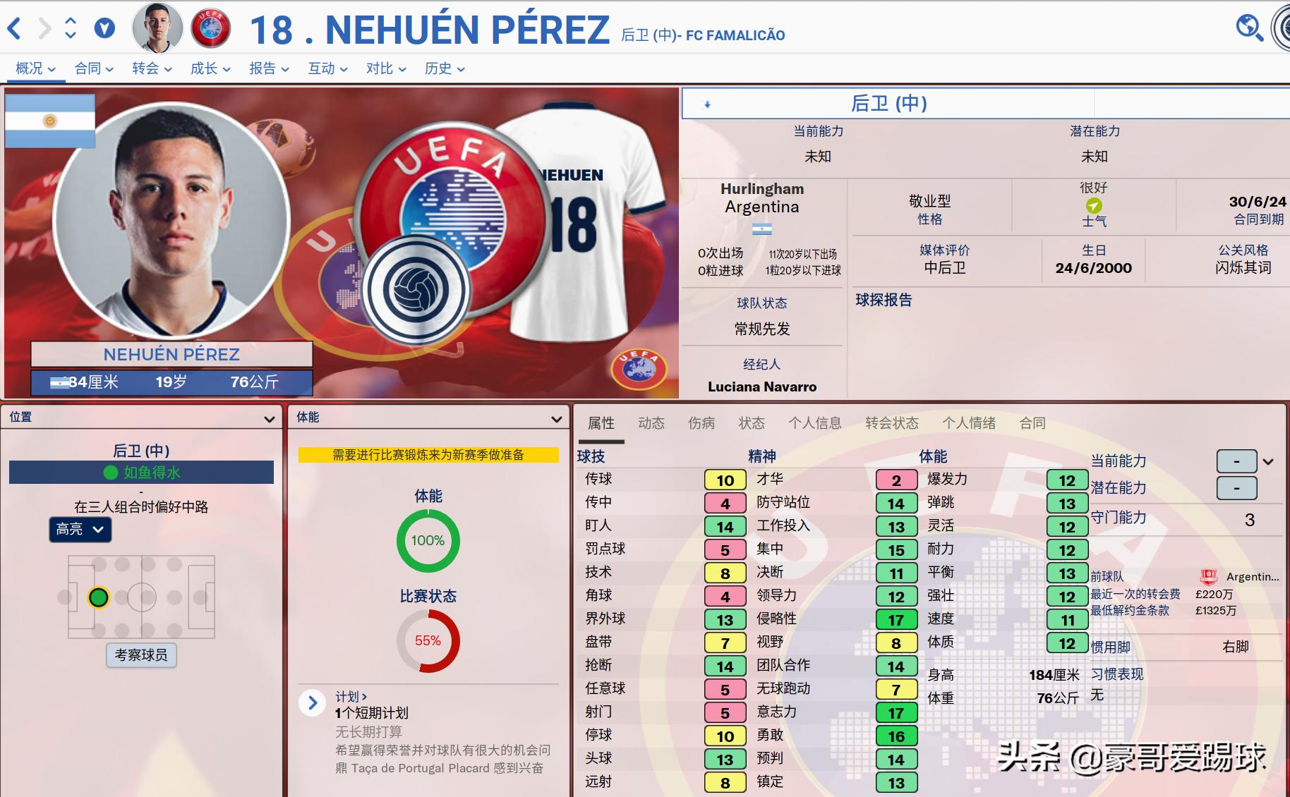 FM2020（足球经理）——来自阿根廷的3只潘帕斯小牛