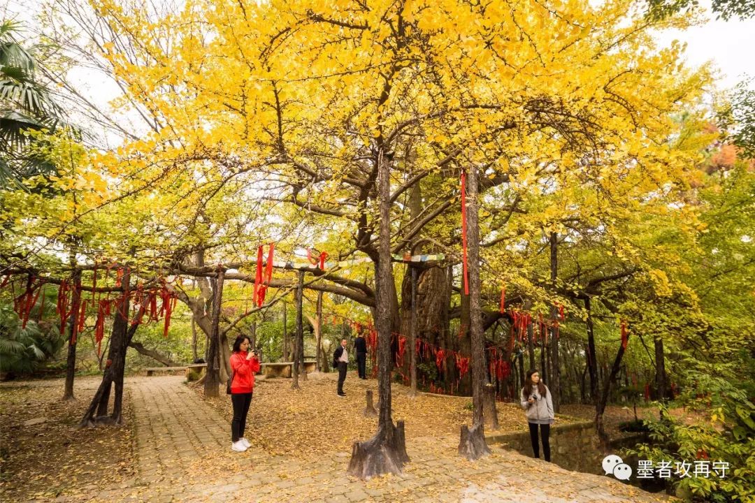 一入秋西安就美成长安,一入秋杭州就美成临安