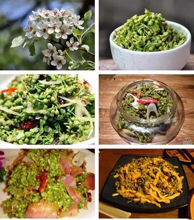 棠梨花映白杨树,棠梨花映白杨树的意境