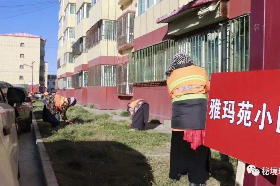 新闻晚高峰视频直播,新闻晚高峰播放时间